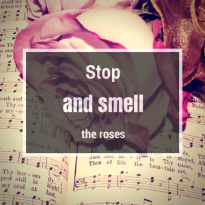 Stop and smell the roses